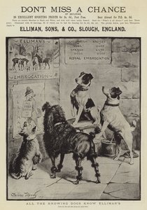 Reklama, Elliman